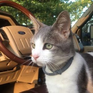 Meet your Posher, Angela